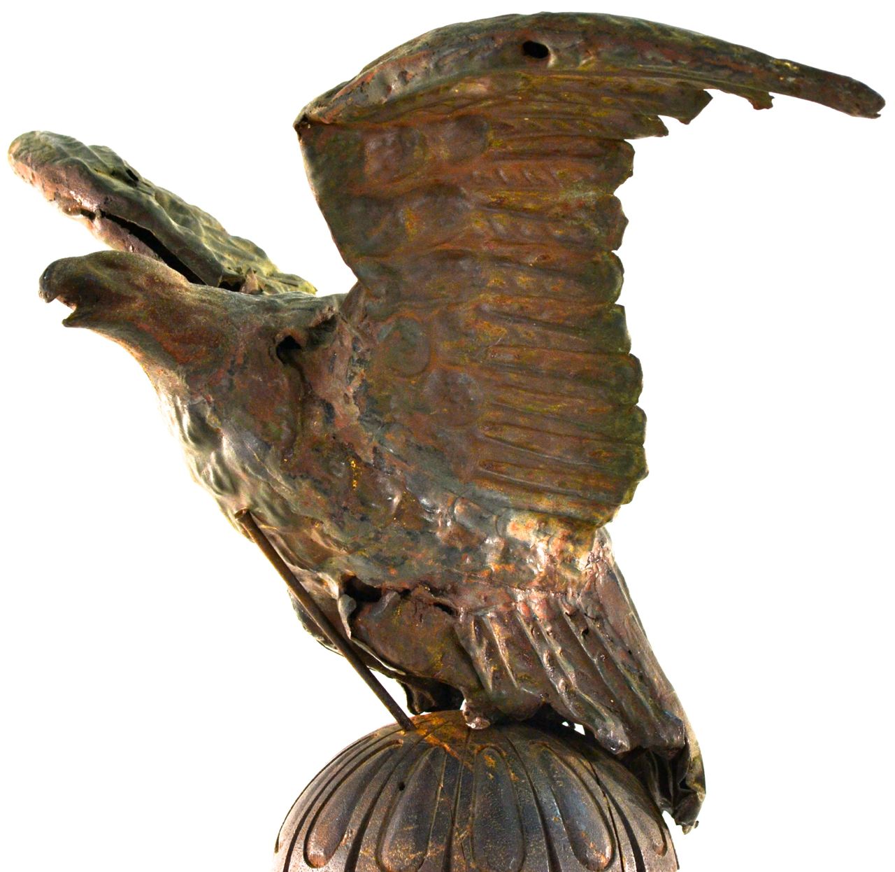 EAGLE IMAGE