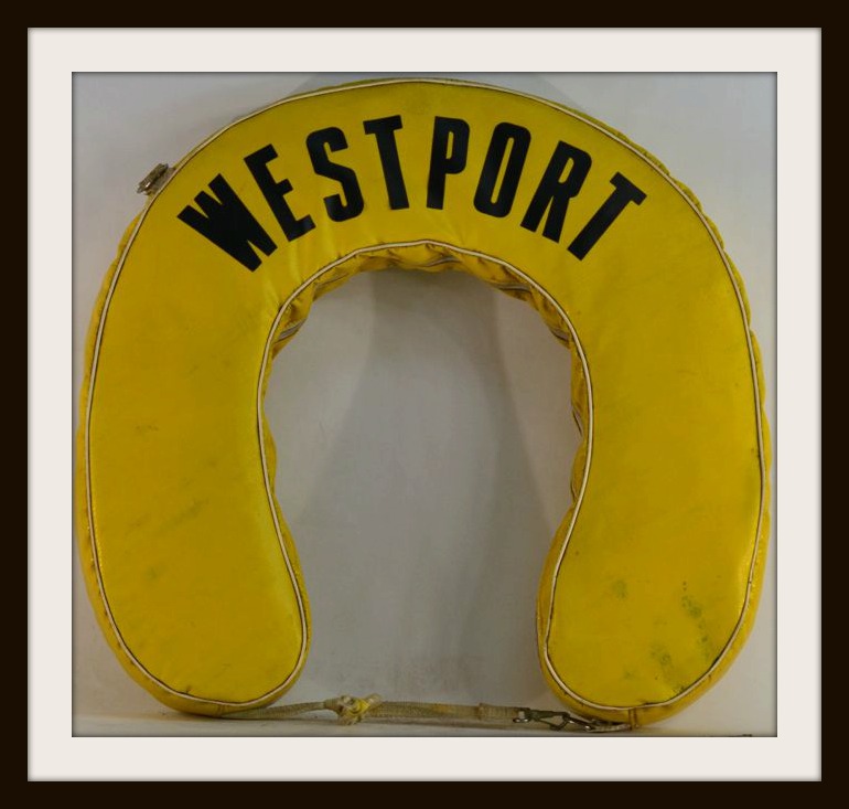 LIFE PRESERVER IMAGE